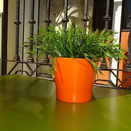 Rulosol 2 Apartment Torremolinos